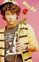c vrei mai mult decat un trandafir rosu de la cel mai scump tip de p loome  :rolleyes: nick jonas
